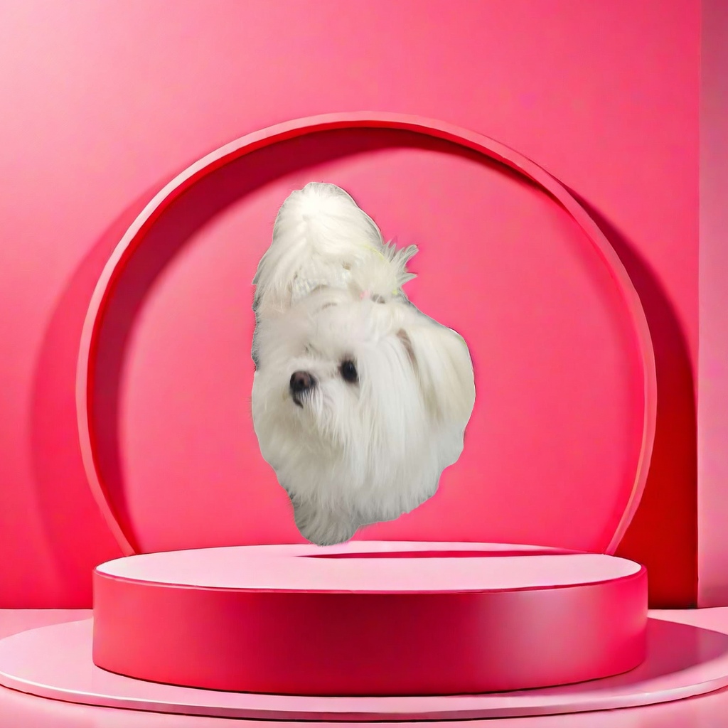 Pet urine pads, leak-proof and absorbent pet supplies, dog diapers, pet wet wipes, portable sanitary pads, suitable for multi-pet scenarios Application Scenario