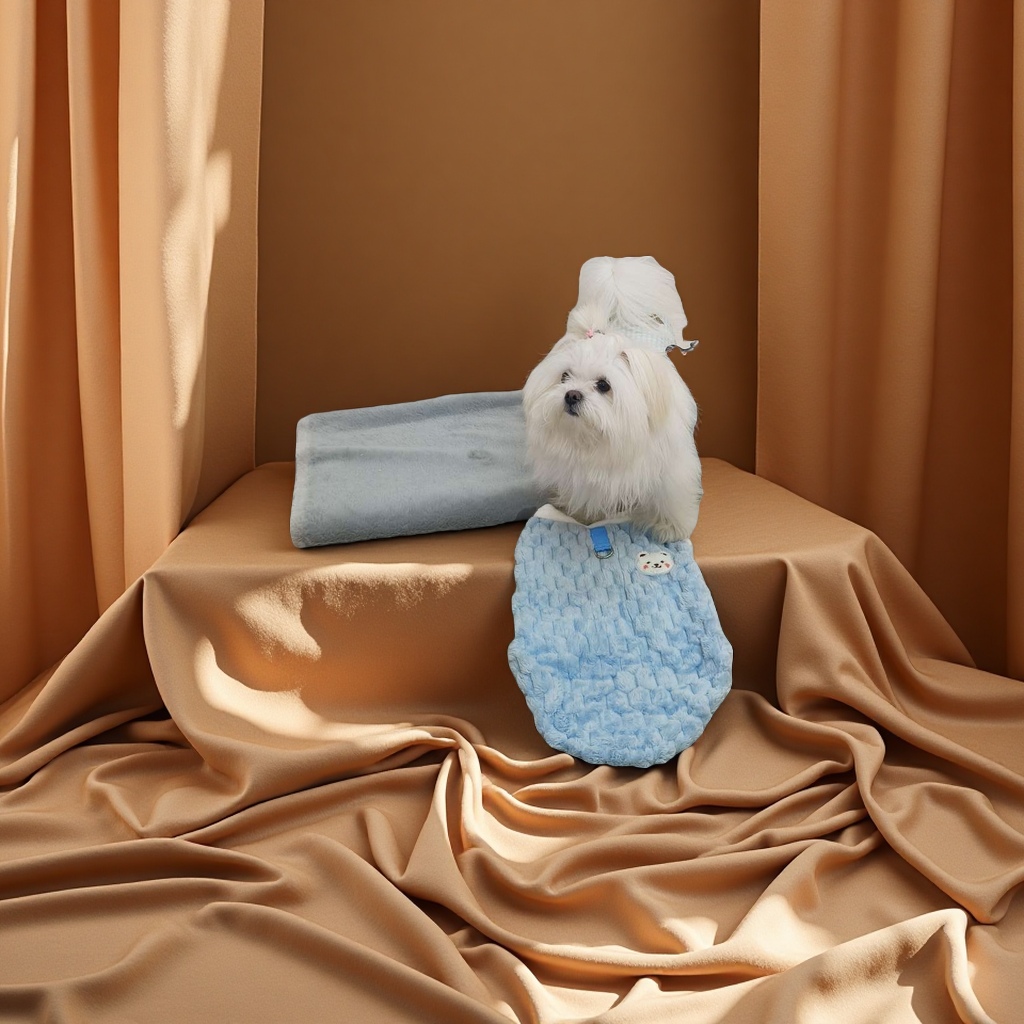 宠物衣服可爱狗狗猫咪春夏款套装舒适防风宠物服装宠物用品