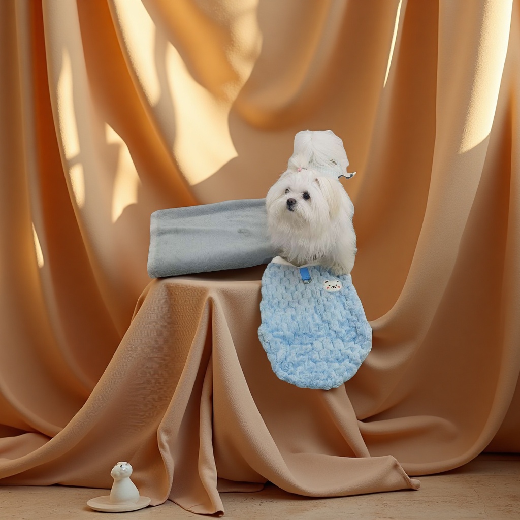 Pet clothing, cute dog and cat spring and summer sets, comfortable and windproof pet clothing, pet supplies details Picture