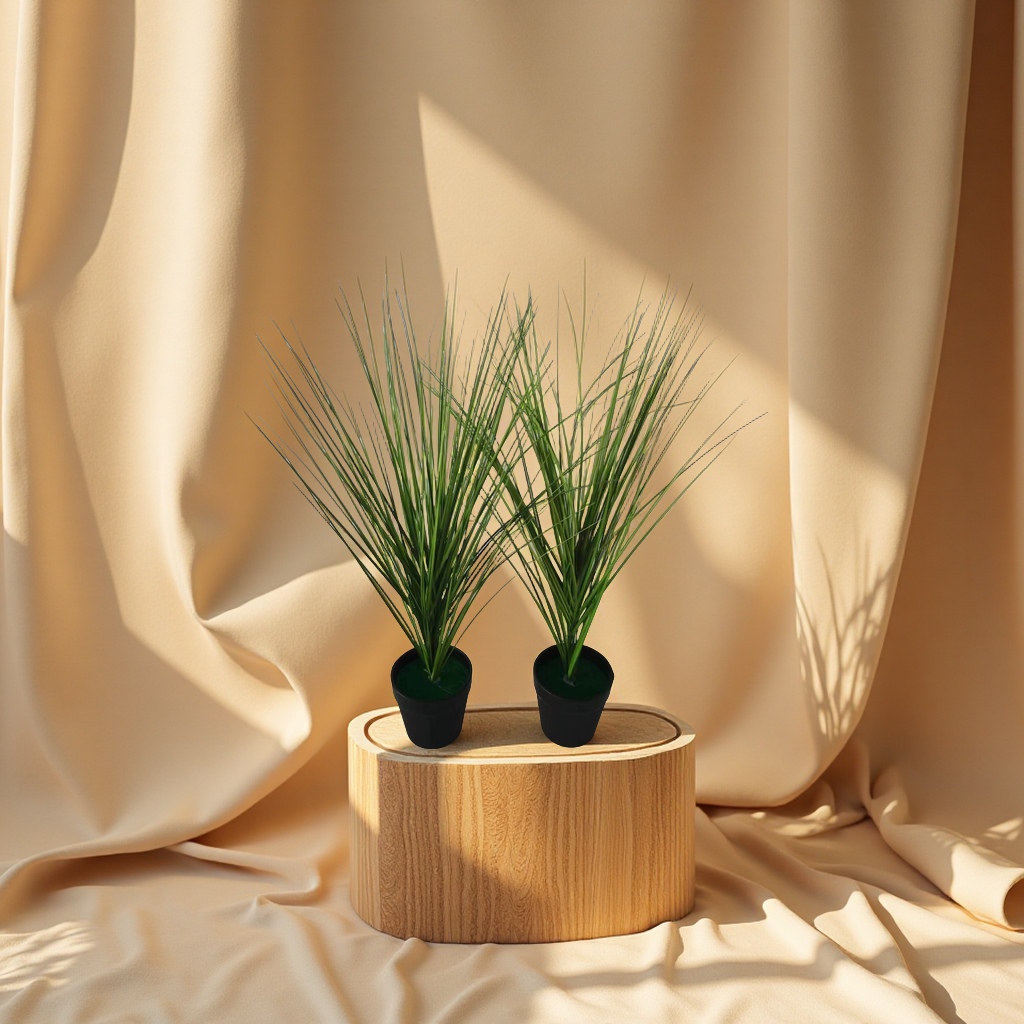 import白底实物图