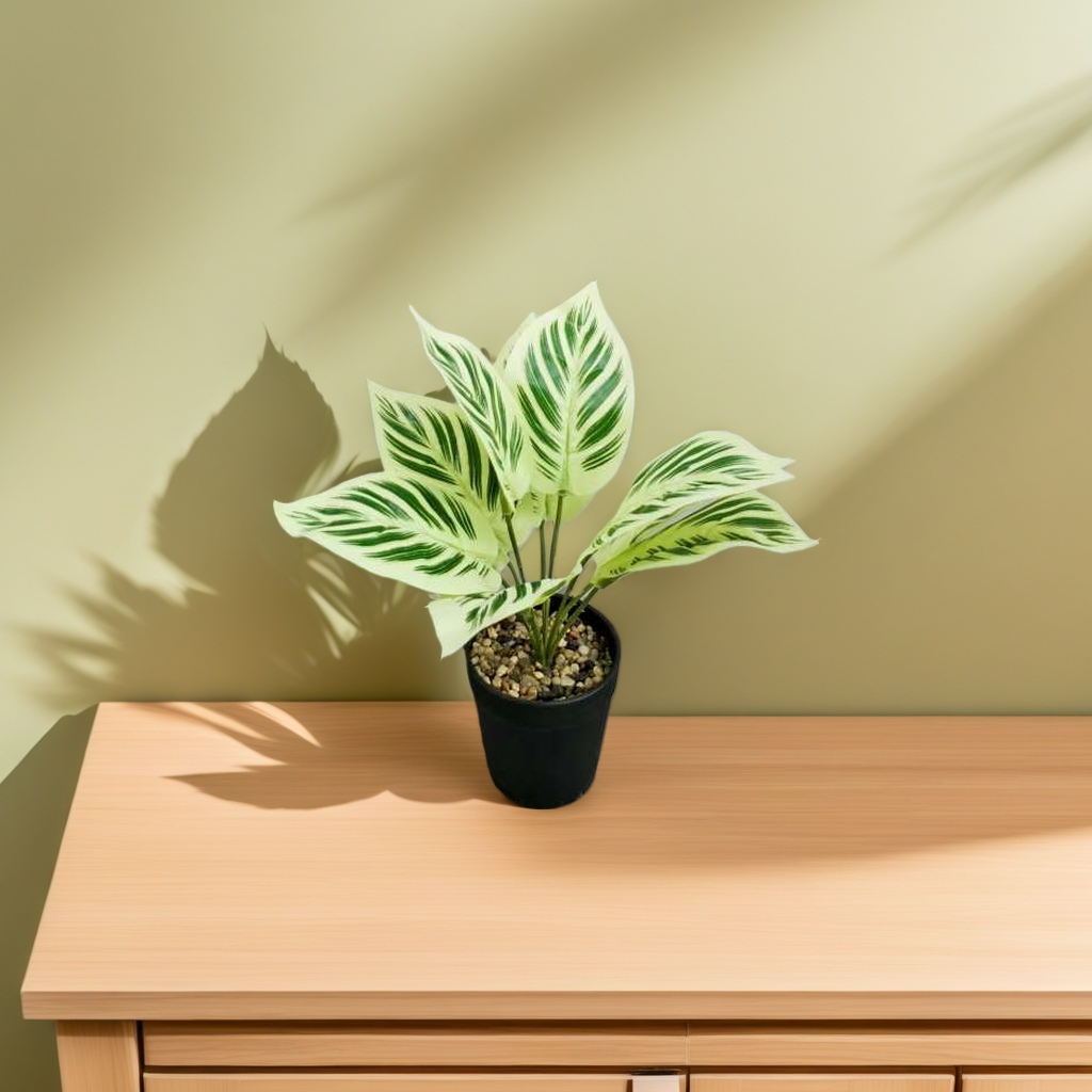 Magnetic levitation planting potted flowers, ceramic potted plants, green plant planting sets, flowers and green plants details Picture