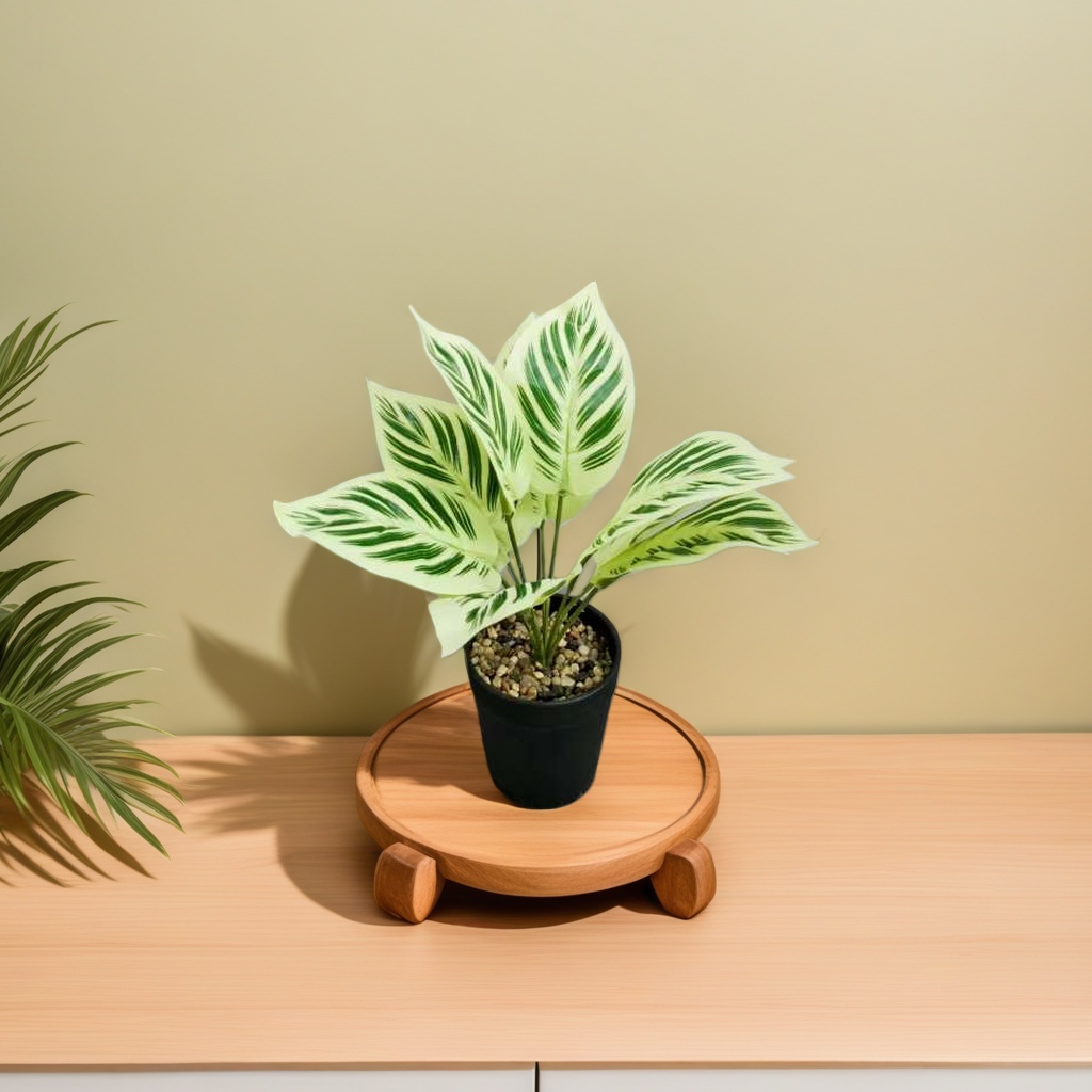 Magnetic levitation planting potted flowers, ceramic potted plants, green plant planting sets, flowers and green plants Specification image