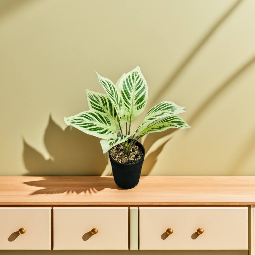 Magnetic levitation planting potted flowers, ceramic potted plants, green plant planting sets, flowers and green plants Application Scenario