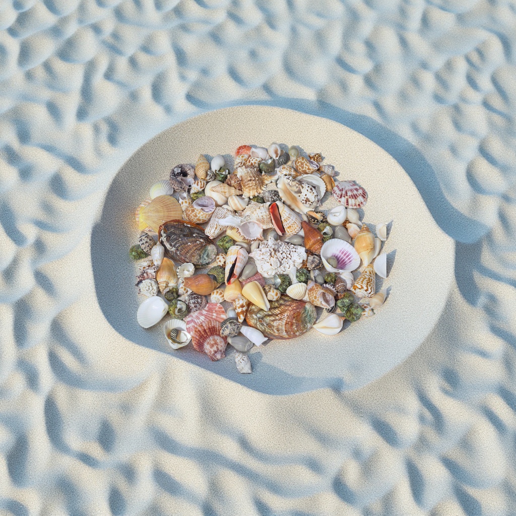 Large conch shells are sold by the pound. Large conch fish tank landscaping combination, handcrafted diy table setting, and decorative accessories