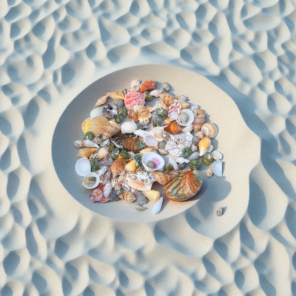 Large conch shells are sold by the pound. Large conch fish tank landscaping combination, handcrafted diy table setting, and decorative accessories details Picture