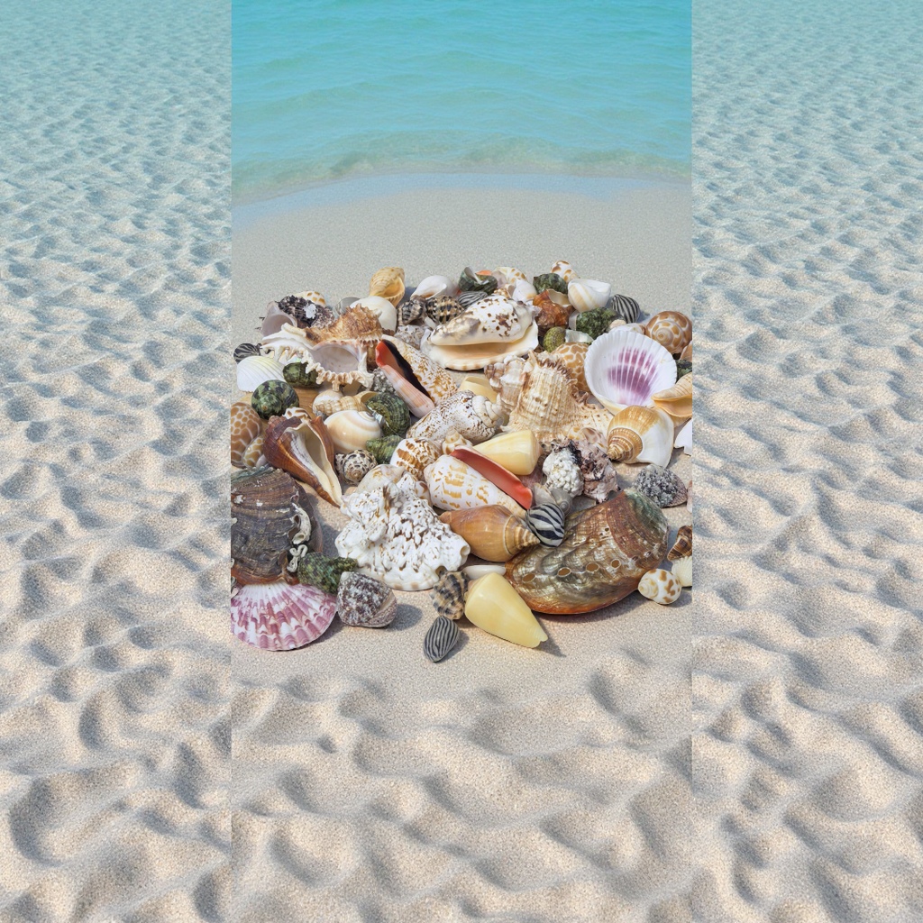 Large conch shells are sold by the pound. Large conch fish tank landscaping combination, handcrafted diy table setting, and decorative accessories Specification image
