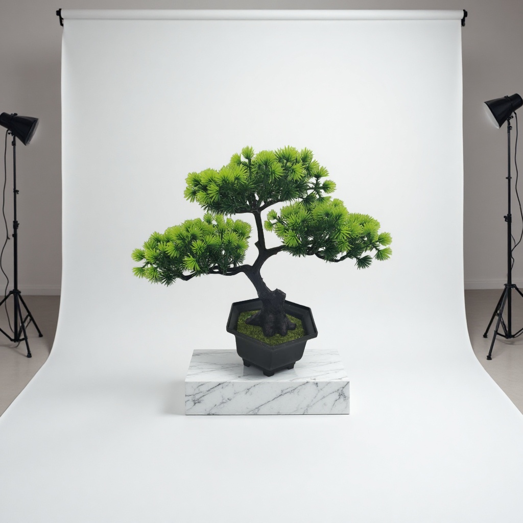 盆栽植物绿植小盆栽多肉植物室内盆栽花卉植物家庭园艺绿化
