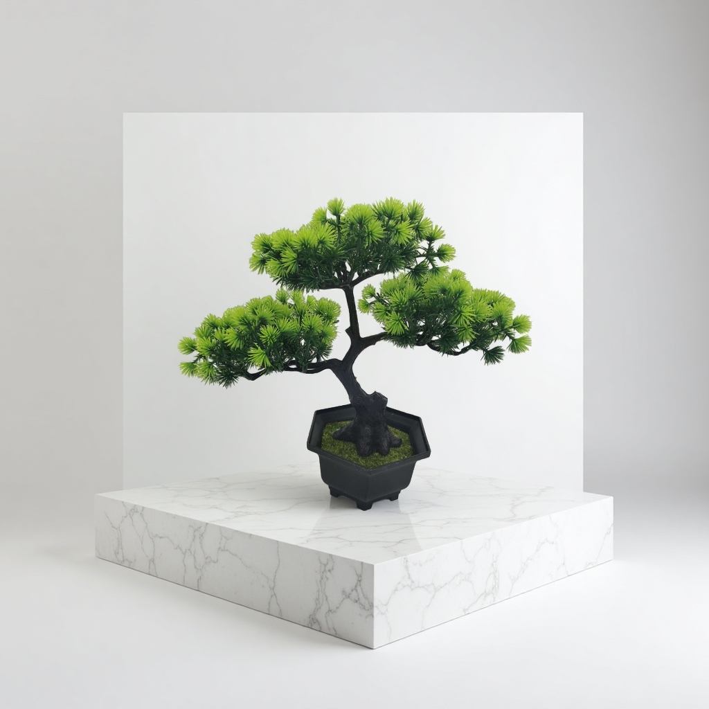 盆栽植物绿植小盆栽多肉植物室内盆栽花卉植物家庭园艺绿化产品图