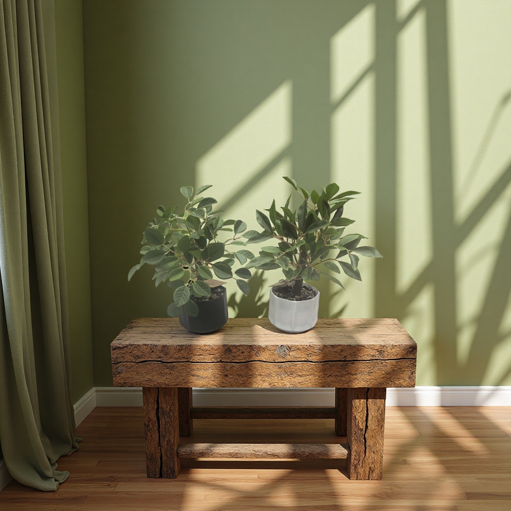 Sanrio Green Plant potted succulent Acrylic Vase Set for indoor plant and flower supplies Specification image