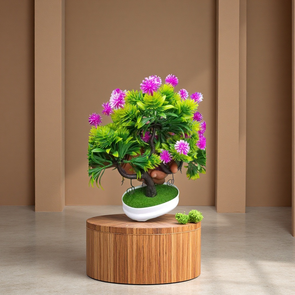 花卉盆栽多肉植物室内绿植观赏植物小盆栽组合套装