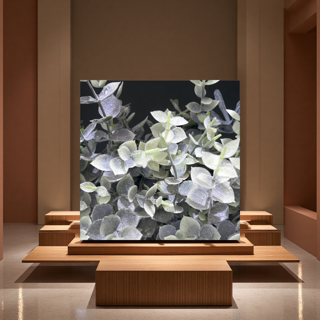 盆栽植物绿植小盆栽室内多肉花卉观赏植物家庭养植