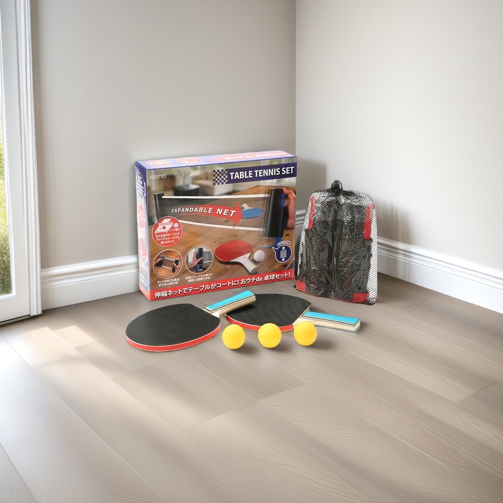 乒乓球网架套装乒乓球拍网架组合训练器材标准尺寸