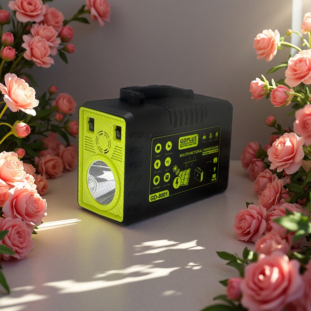 جهاز شحن محمول محمول في الهواء الطلق يعمل بالطاقة الشمسية العكسية 1000W 24V Specification image
