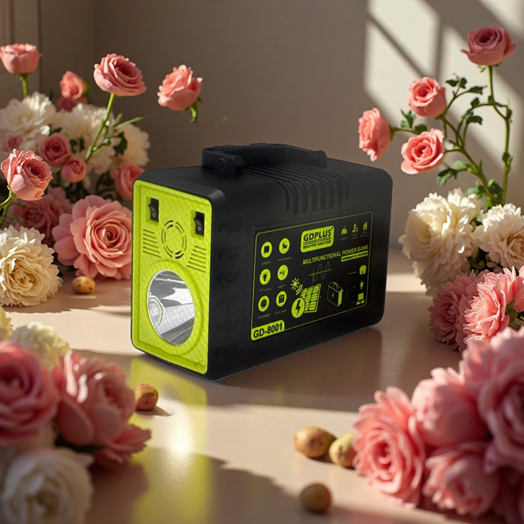 جهاز شحن محمول محمول في الهواء الطلق يعمل بالطاقة الشمسية العكسية 1000W 24V details Picture