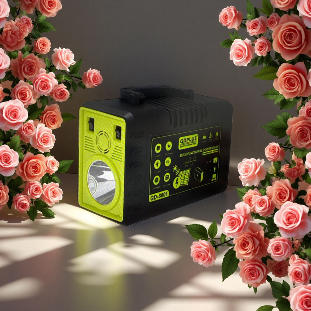 1000W 24V outdoor portable charger for solar inverter power supply