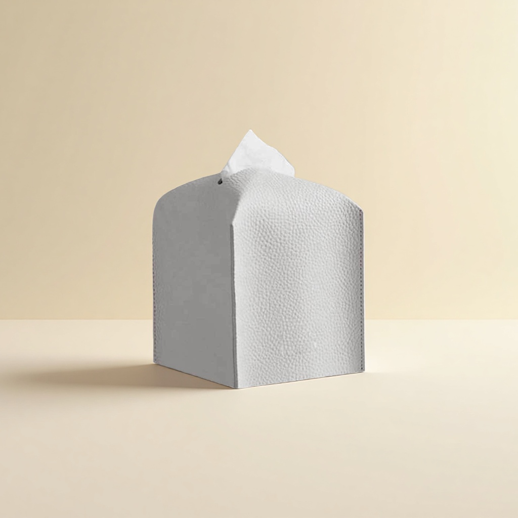 The Tissue Box Is Simple And Modern. It Is A Large-Capacity, Thickened And Dust-Proof Household Tissue Box Application Scenario