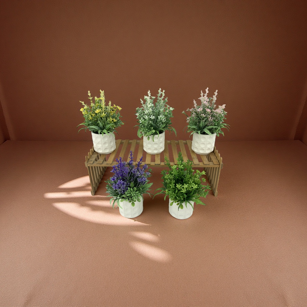 绿植盆栽室内观赏植物多肉小盆景组合家庭园艺用品