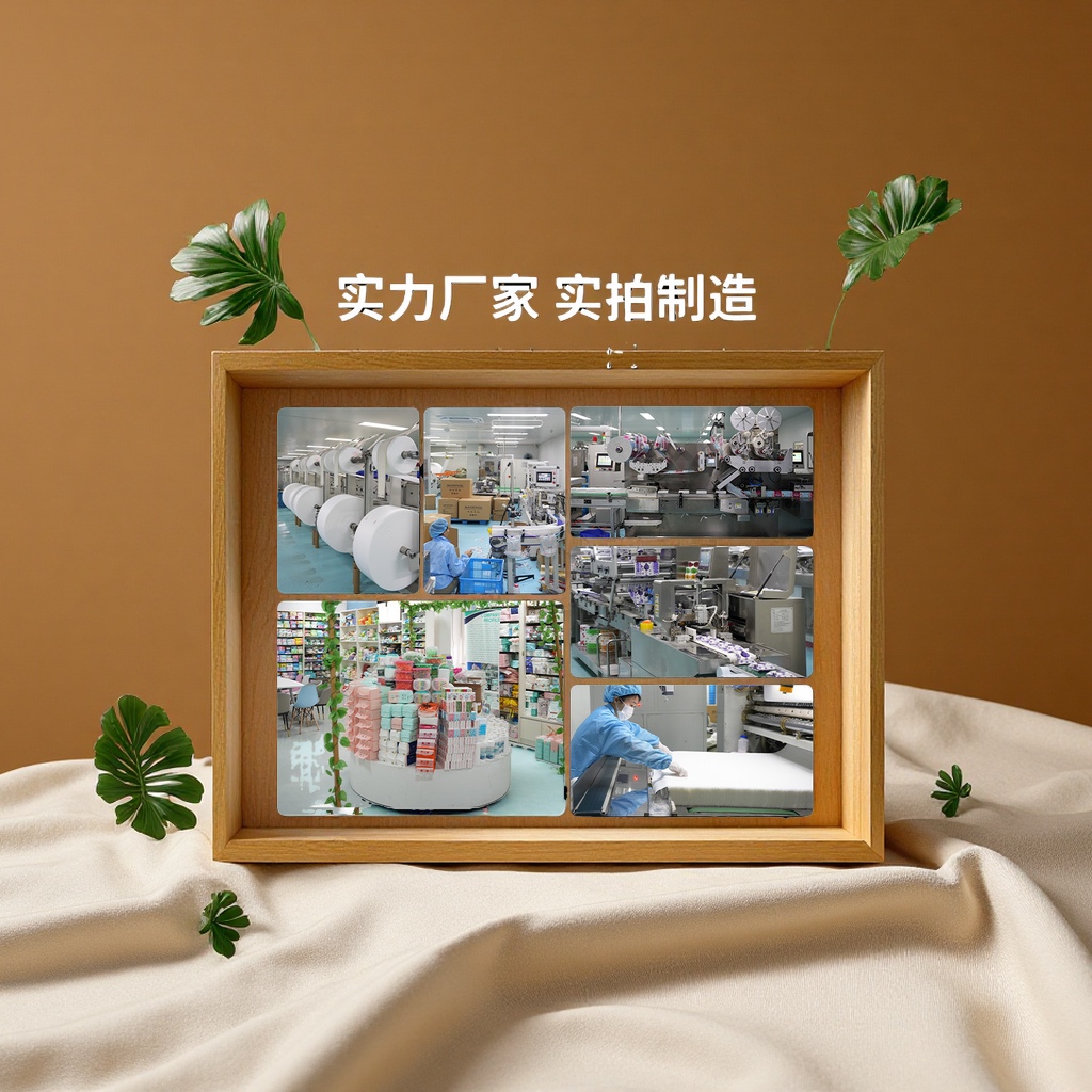 一次性纸盘，纸餐盒/可降解一次性餐具/蛋糕餐具包装/六格饭盒一次性/可降解餐盒产品图