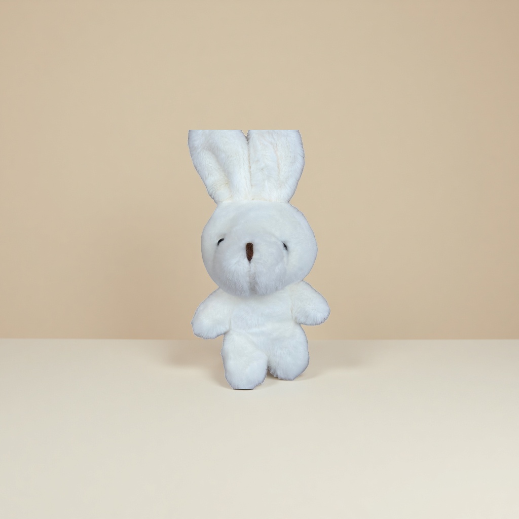 毛绒玩具可爱小熊软萌儿童玩偶生日礼物 plush