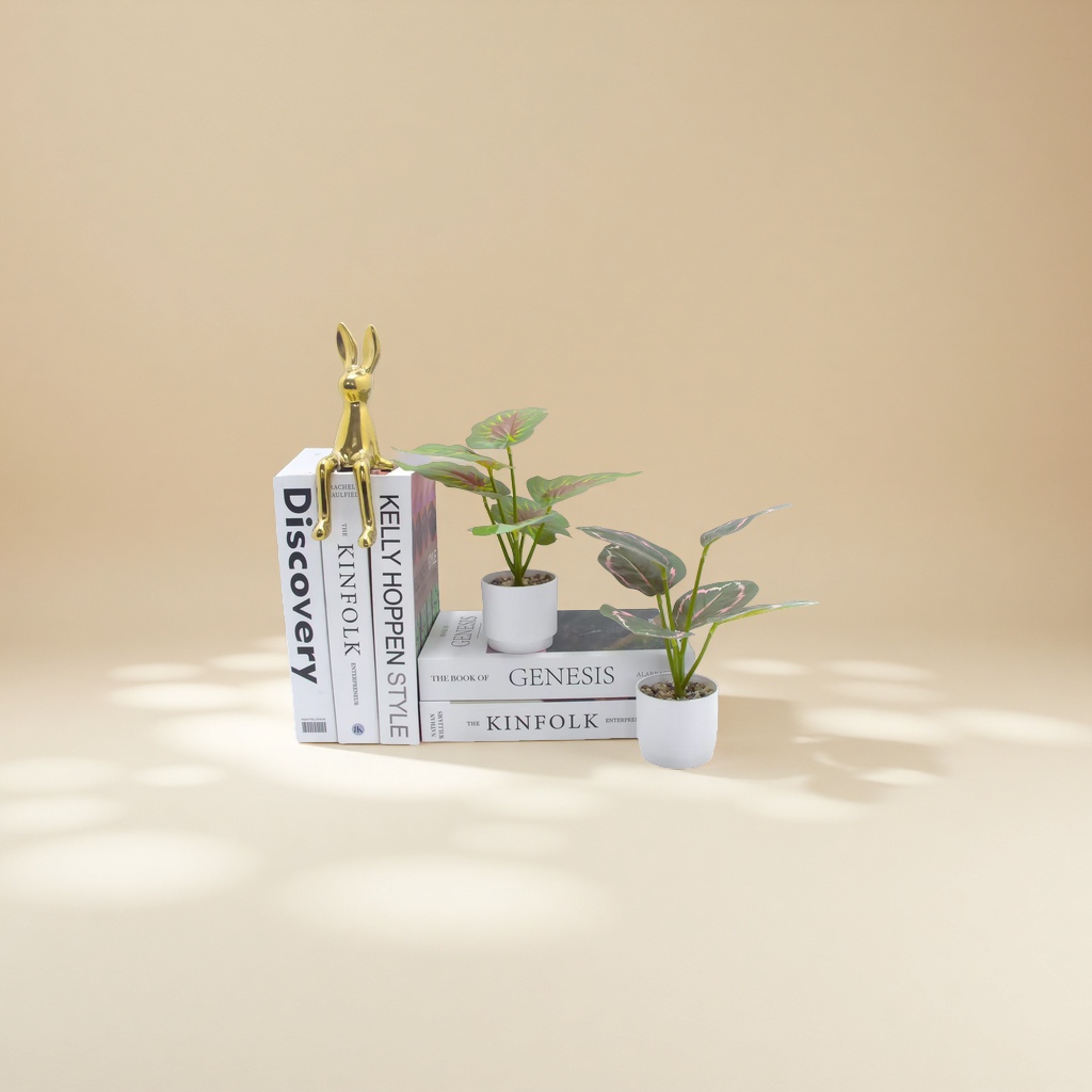Bonsai, micro landscape, courtyard decoration, green plants, small potted plants, indoor greening plant maintenance. 155835185