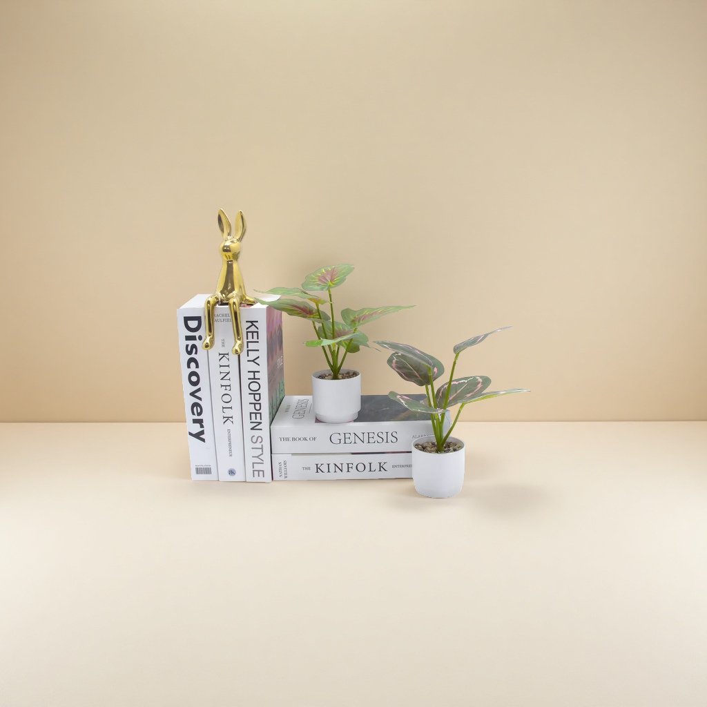 Bonsai, micro landscape, courtyard decoration, green plants, small potted plants, indoor greening plant maintenance. 155835185 Specification image