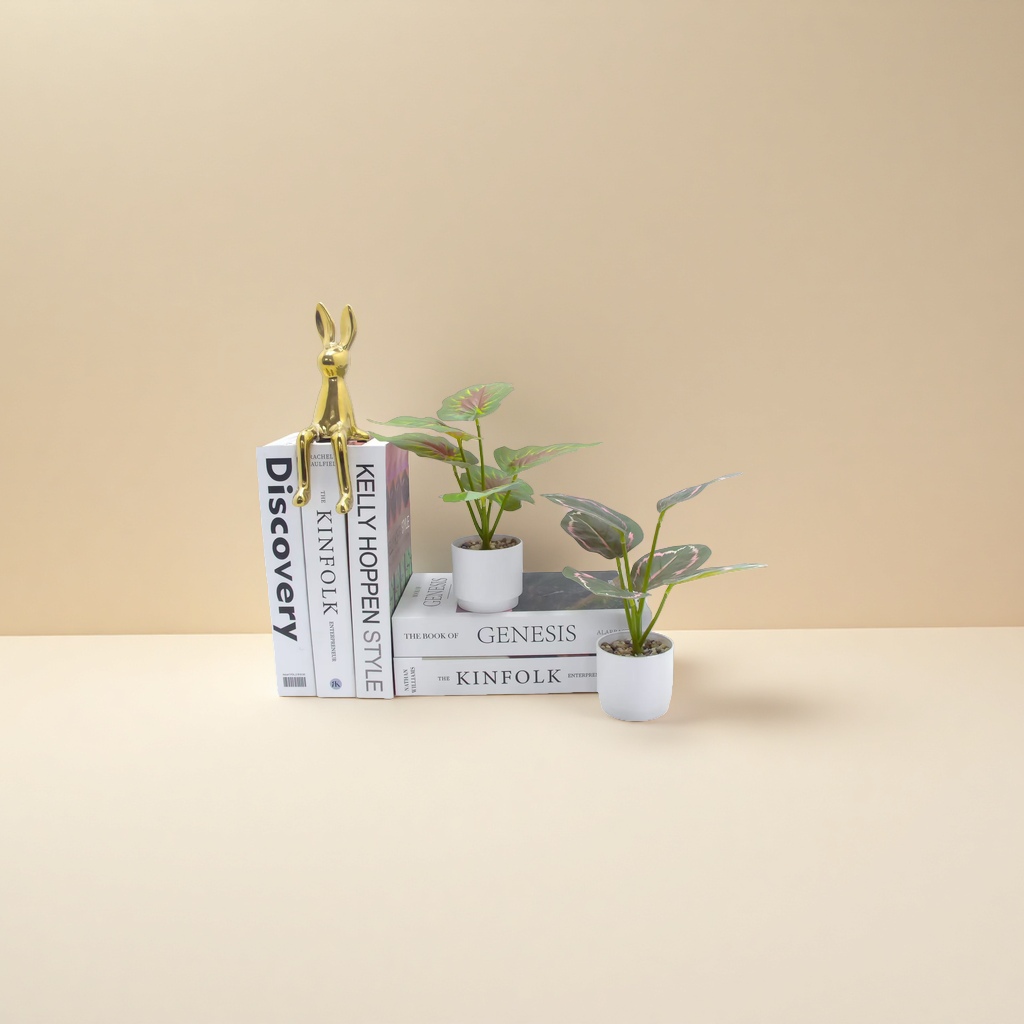 Bonsai, micro landscape, courtyard decoration, green plants, small potted plants, indoor greening plant maintenance. 155835185 Application Scenario