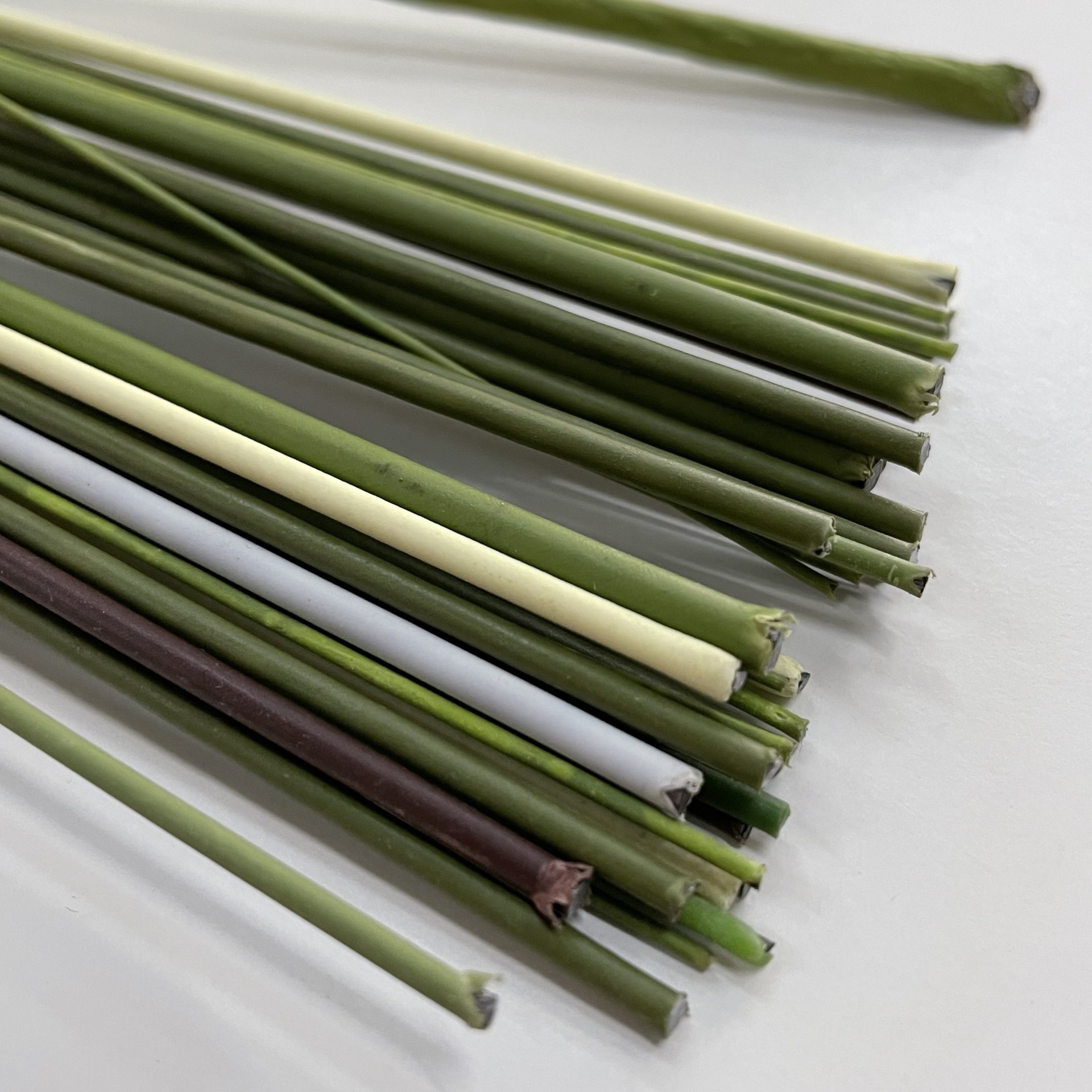 许愿瓶/幸运星瓶实物图