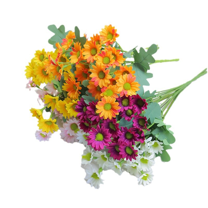 import白底实物图