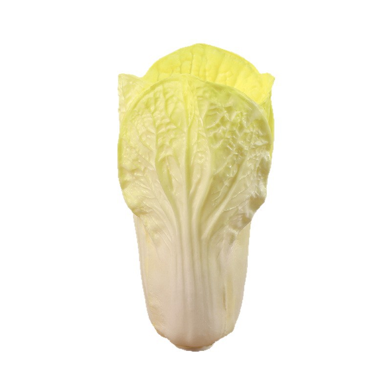 import白底实物图