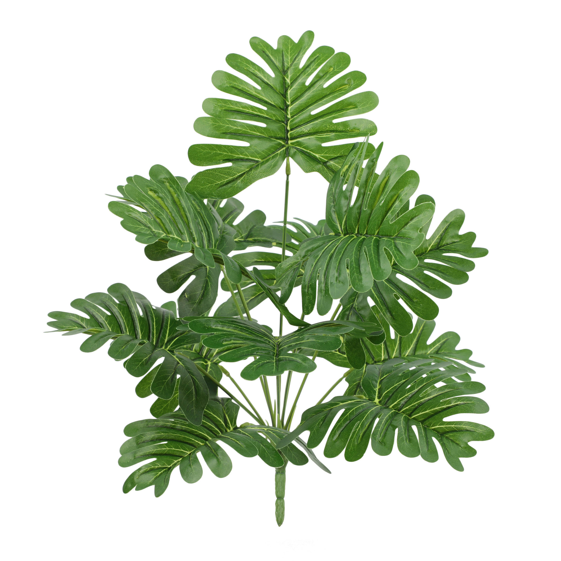 import白底实物图