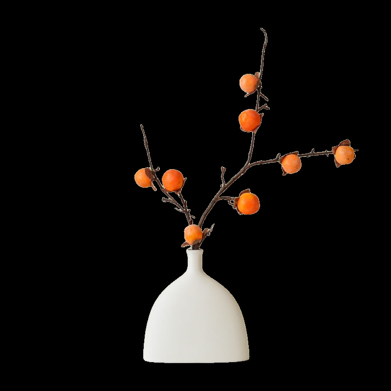 import白底实物图