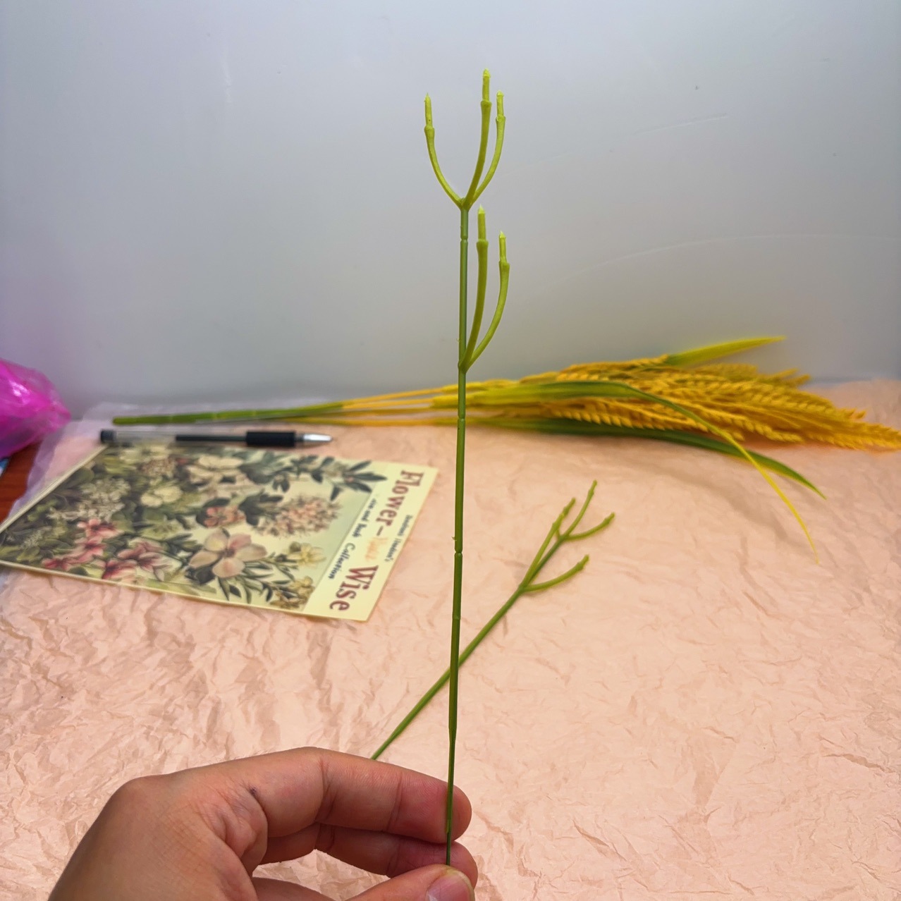 import细节图