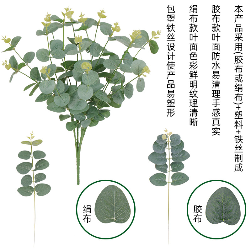 仿真蕨类实物图