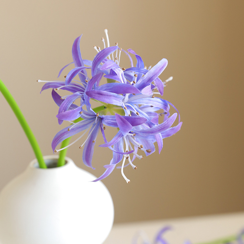 花盆装饰实物图