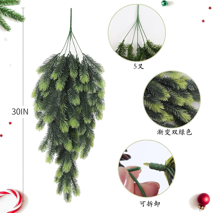 仿真蕨类实物图