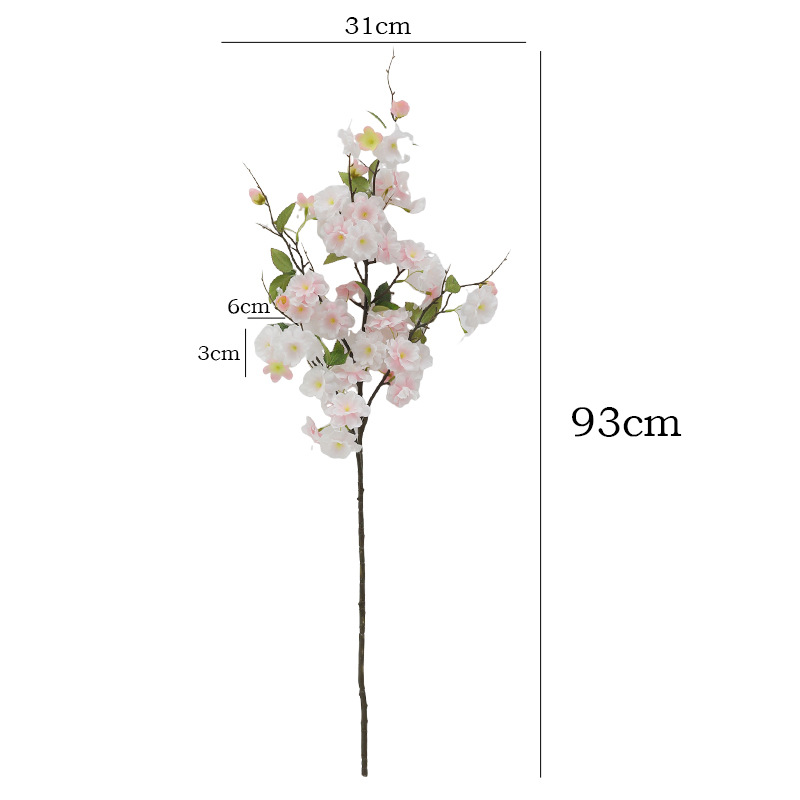 import白底实物图