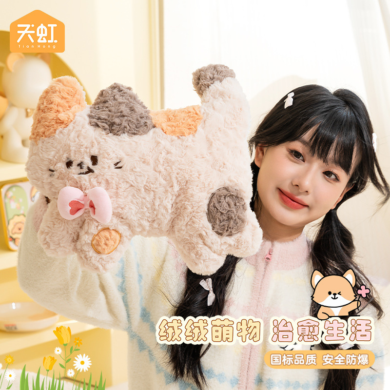 天虹新款国标电热水袋卡通防爆暖手宝双插手可拆卸毛绒吉祥物公仔玩具代发