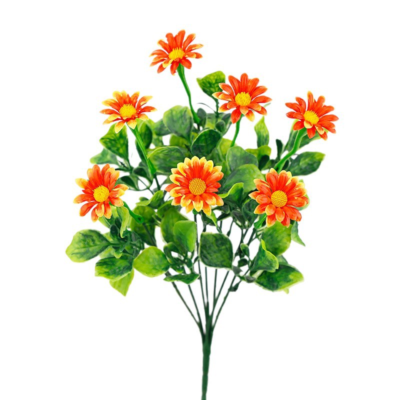 import白底实物图