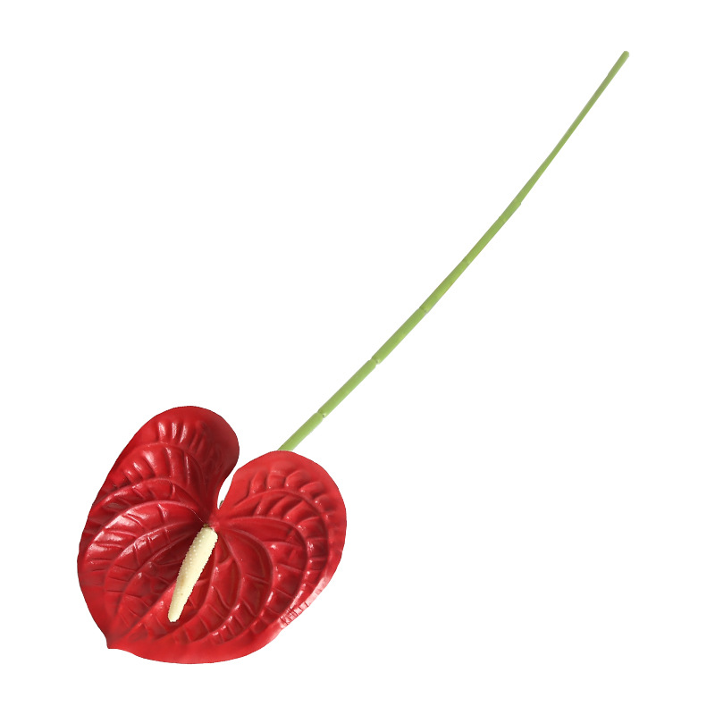 永生花/毛绒玩具花束/满天星/礼盒空/芦苇插花白底实物图