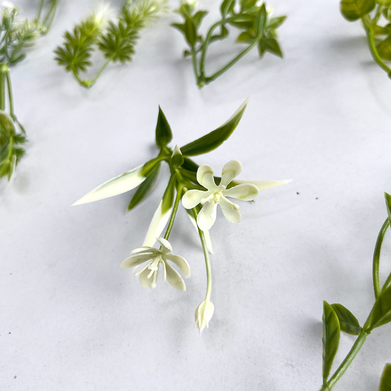 仿真蕨类实物图