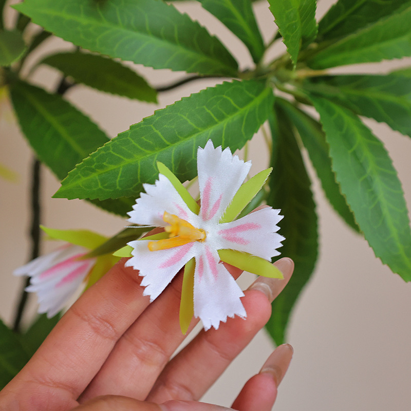 花盆装饰实物图