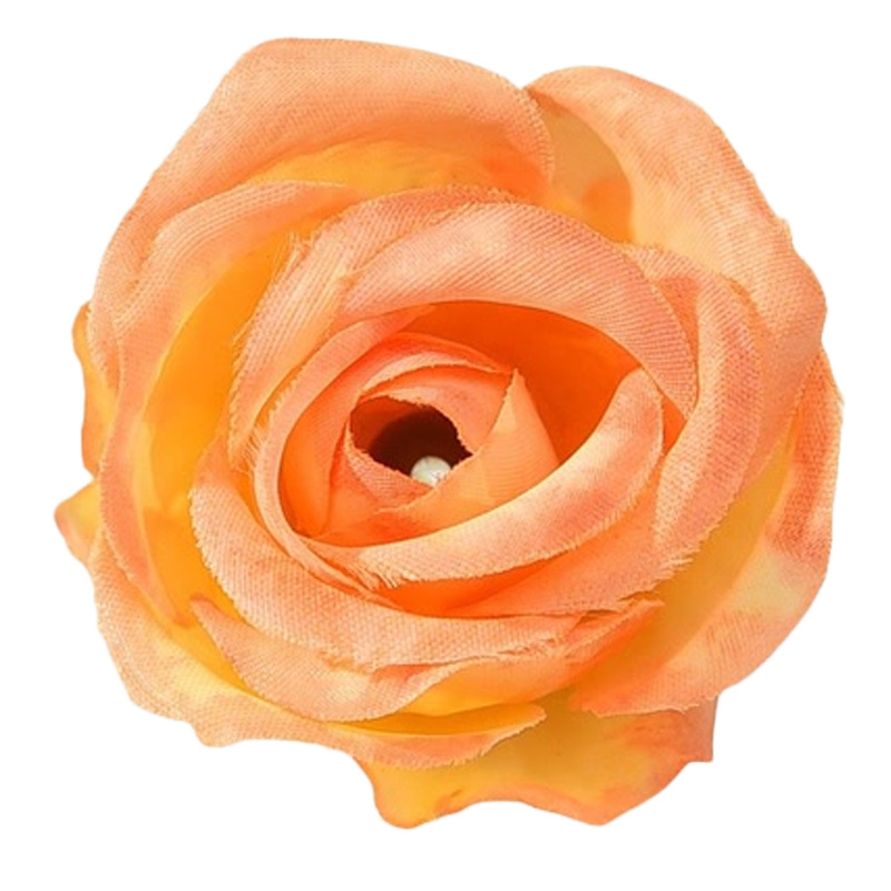 import白底实物图