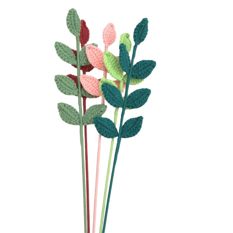 import白底实物图