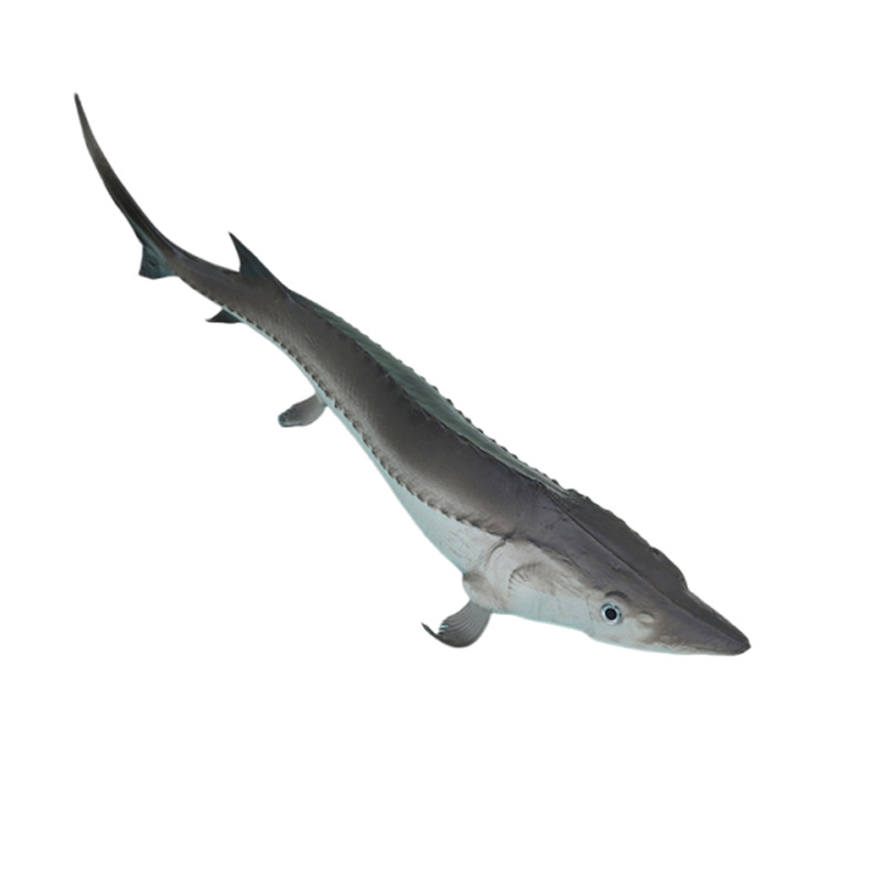 import白底实物图