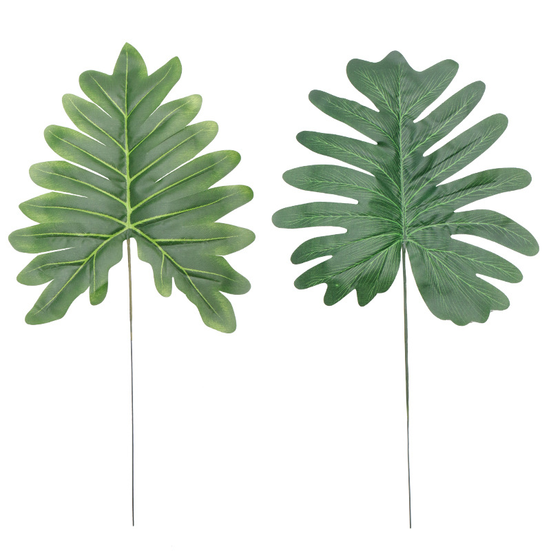 import白底实物图