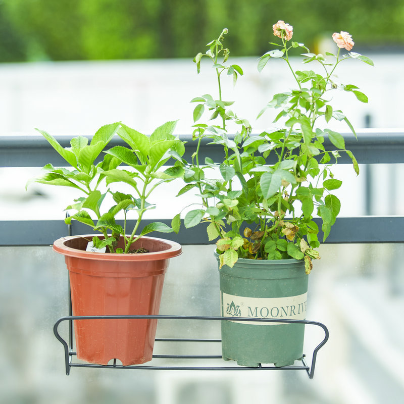 厂家供应欧式铁艺花架承载式藤篮园艺壁挂式花盆架家装客厅室内装饰