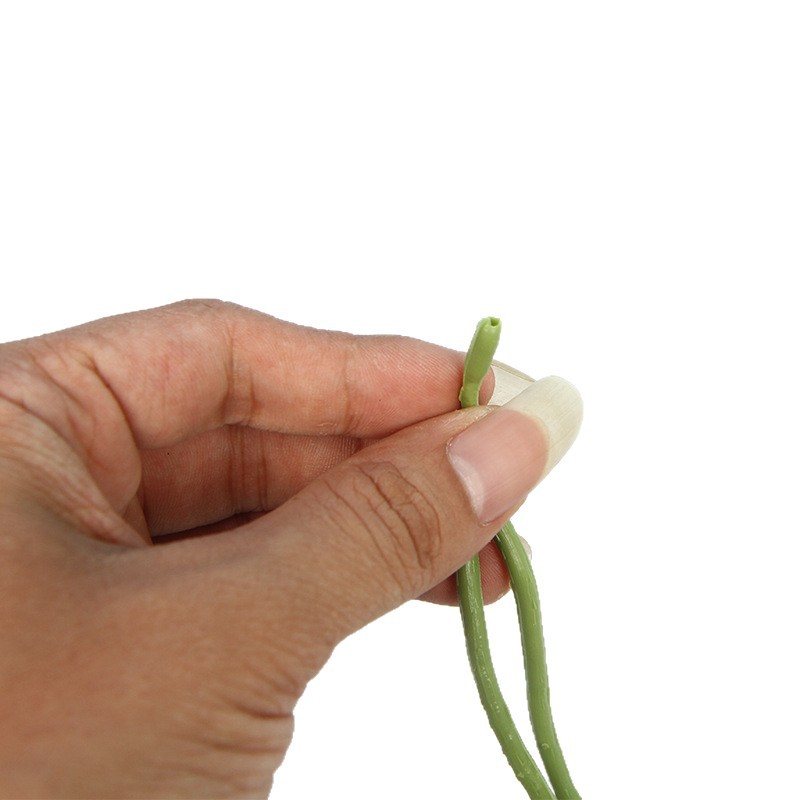 import白底实物图