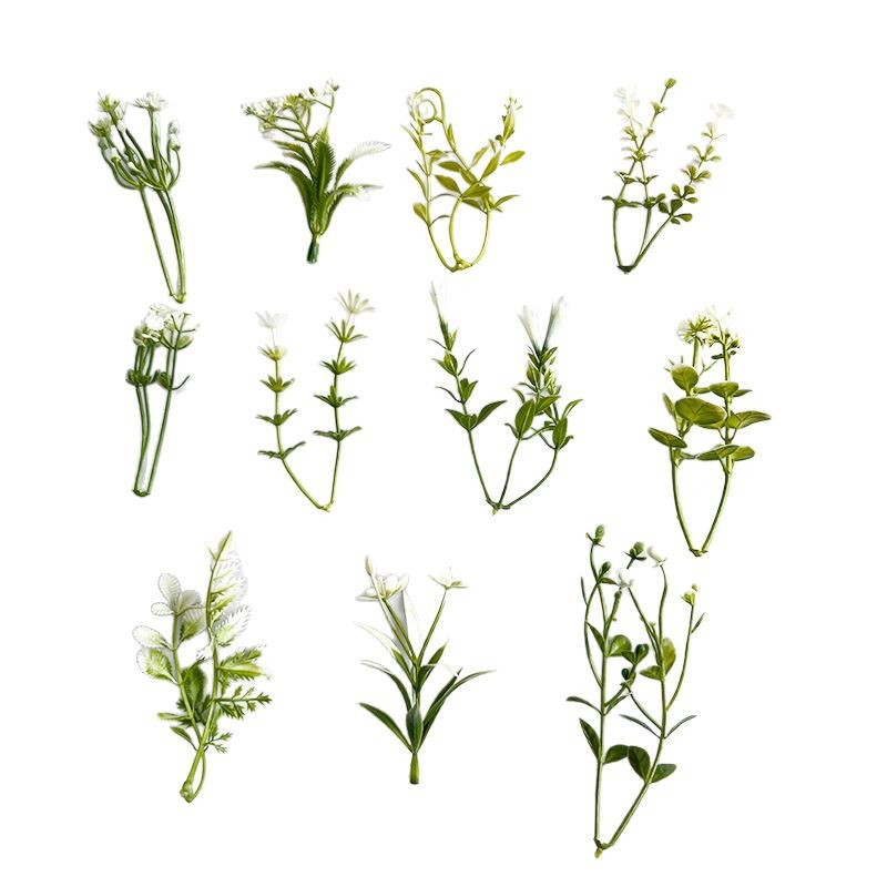 import白底实物图