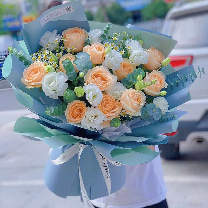 import白底实物图