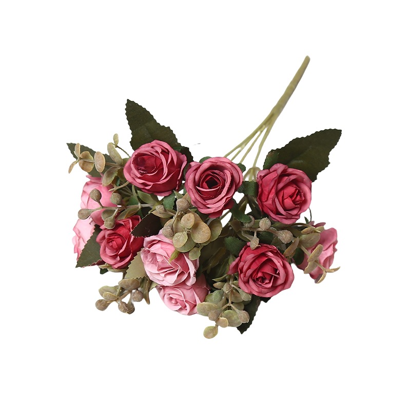 import白底实物图